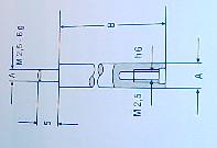 Meuhr - Verlngerung fr Mebolzen    M 2,5 70  mm  