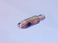 Stromdse fr Binzel   MB 25 / TBI 240 - 360 1,2  mm                   M 6 x 28 mm  